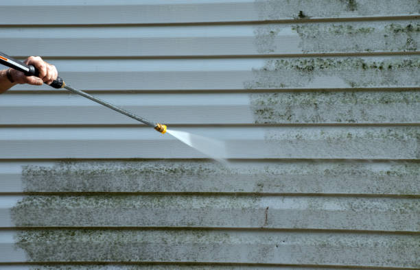 Best Exterior Home Cleaning  in Richlands, NC